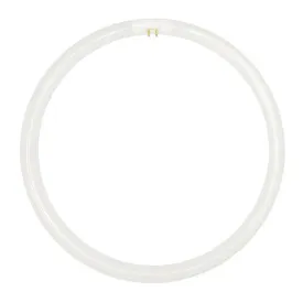22w Fluorescent T5 Globe Cool White 4000k, Daylight 6000k 30506, 30507
