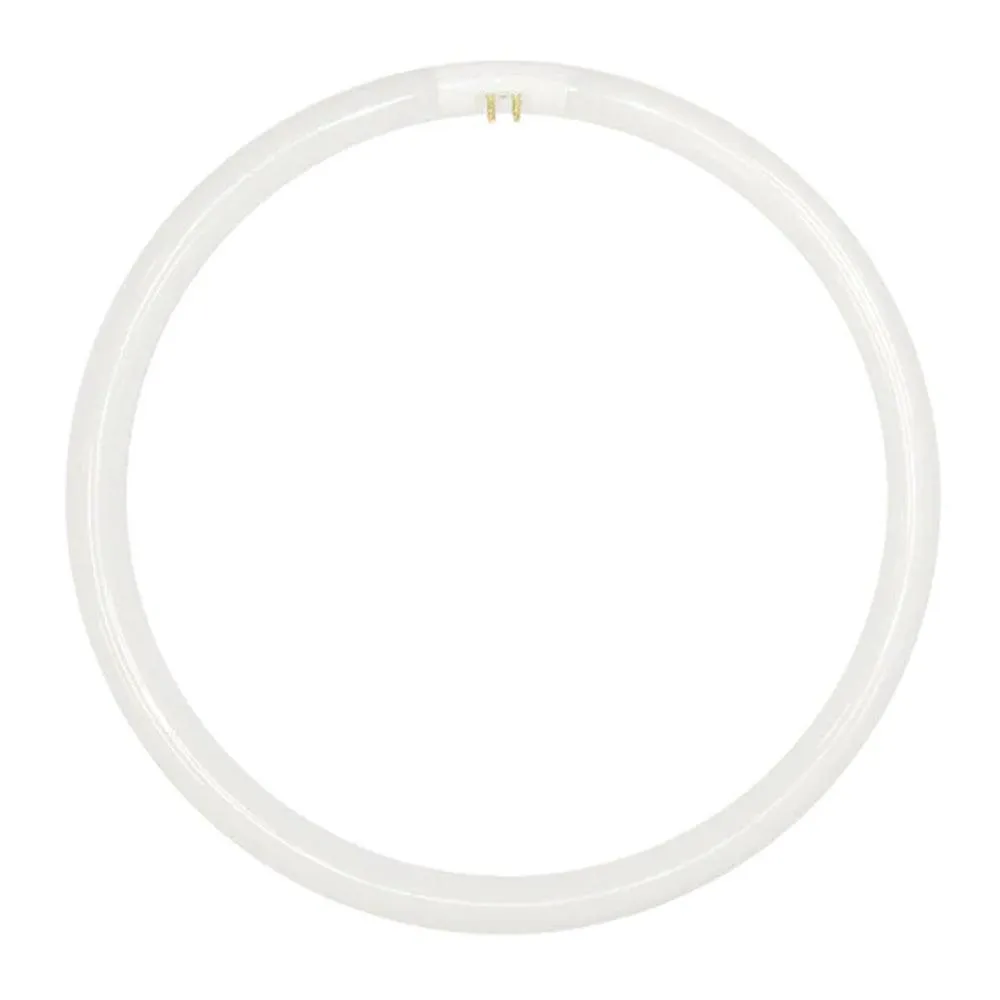 22w Fluorescent T5 Globe Cool White 4000k, Daylight 6000k 30506, 30507