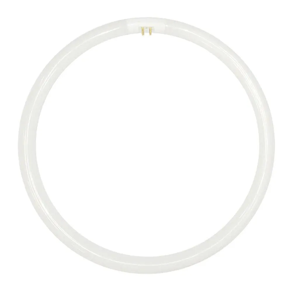 40w Fluorescent T5 Globe Cool White 4000k, Daylight 6000k 30510, 30511
