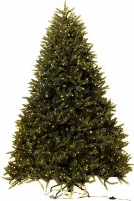 8' Ultra-Lit LED 3MM Oxford Fir Dual Lit