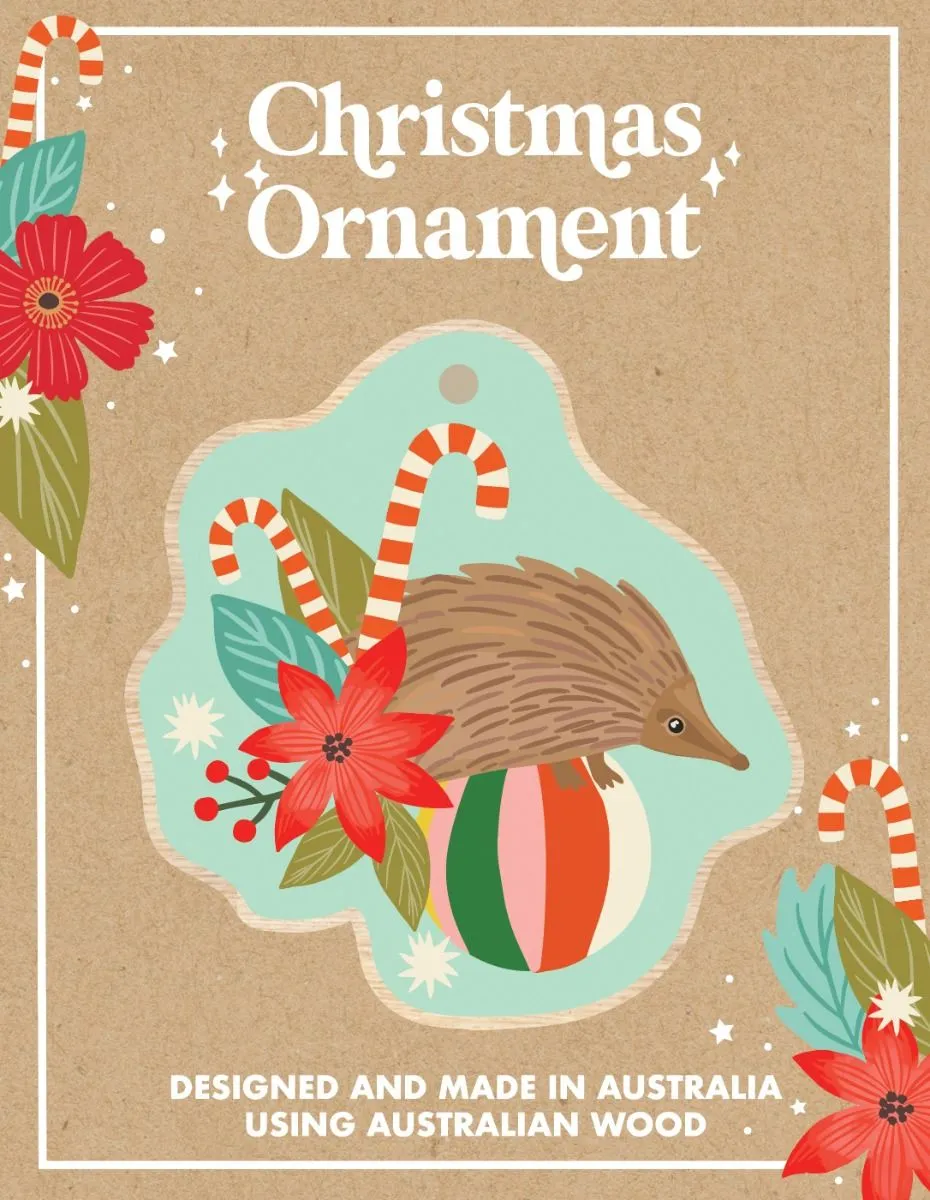 Aero Images Christmas Ornament - Various