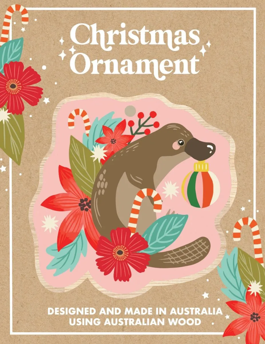 Aero Images Christmas Ornament - Various