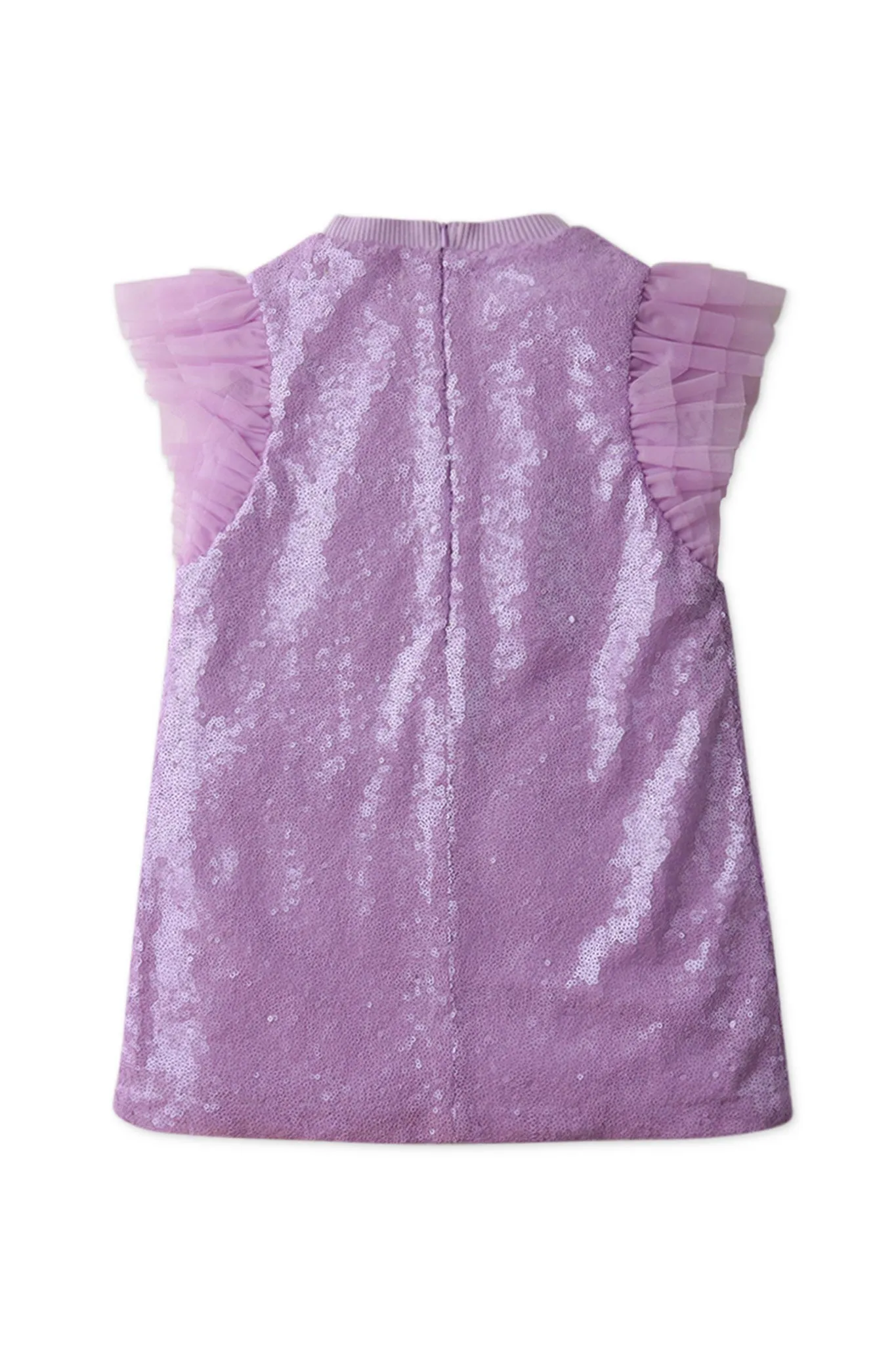 Gingersnaps Ruffles and Sequins Shift Dress