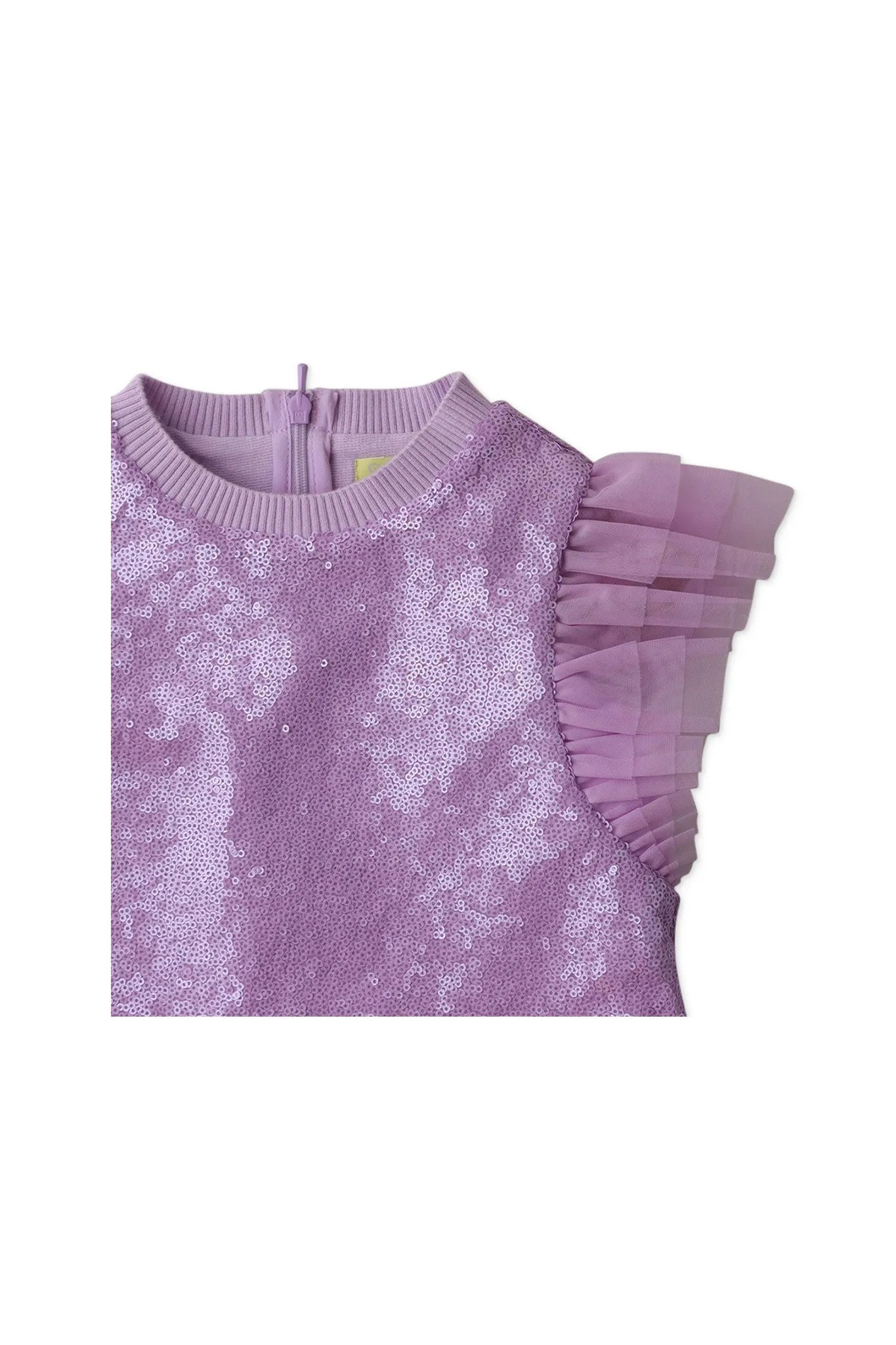 Gingersnaps Ruffles and Sequins Shift Dress