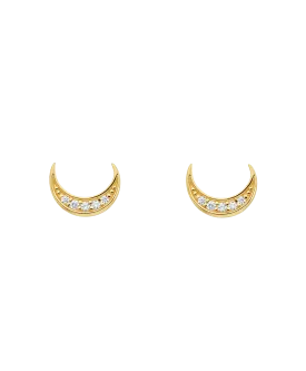 Luna Earrings 18ct Gold Plated